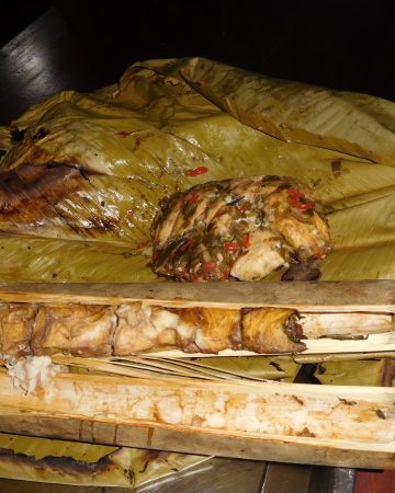Comida Uchupiamonas